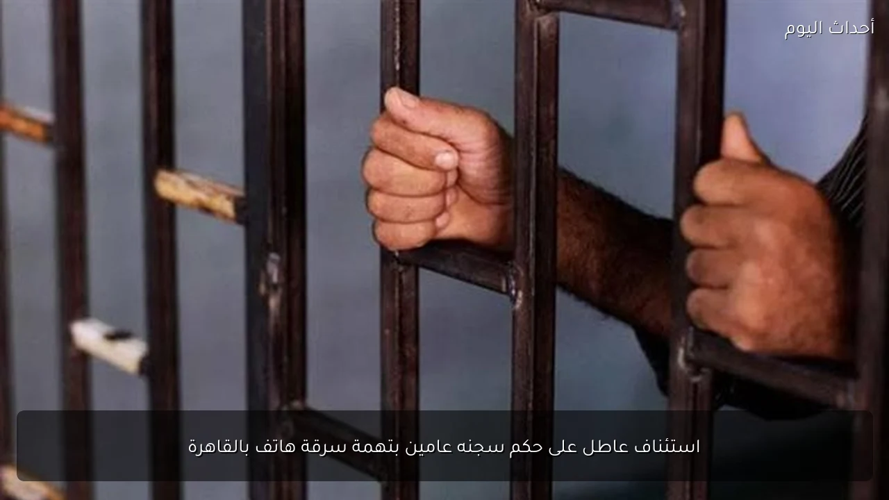 استئناف عاطل على حكم سجنه عامين بتهمة سرقة هاتف بالقاهرة