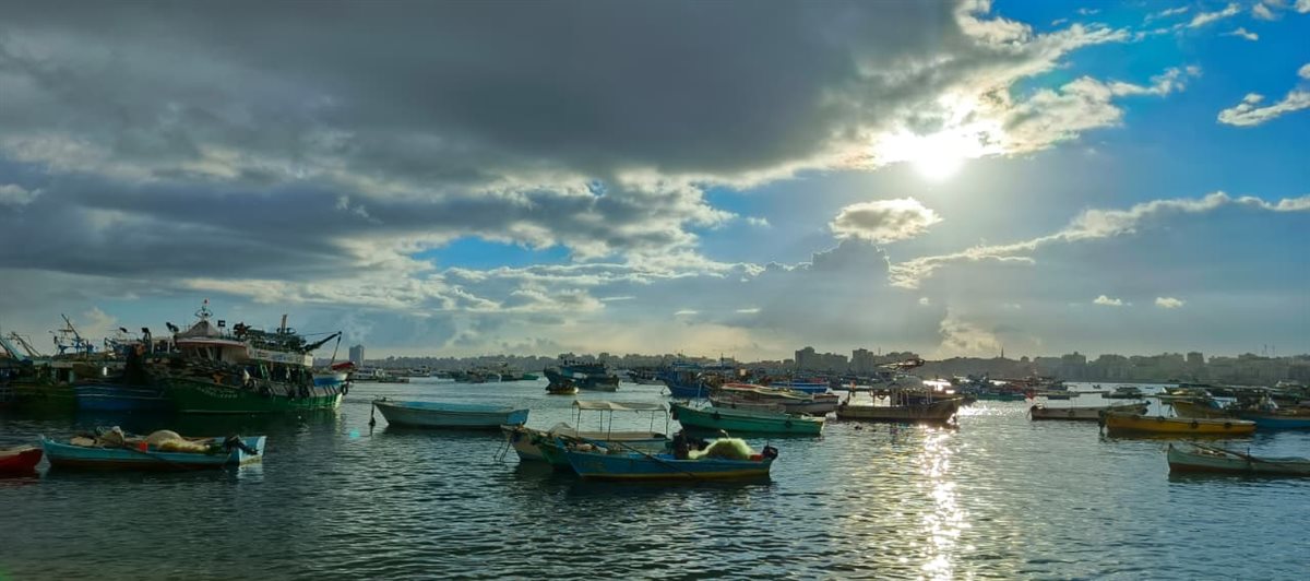 رفع حالة الطوارئ في الإسكندرية مع بدء نوة الخريف والأرصاد تحذر رفع حالة الطوارئ في الإسكندرية مع بدء نوة الخريف والأرصاد تحذر 5