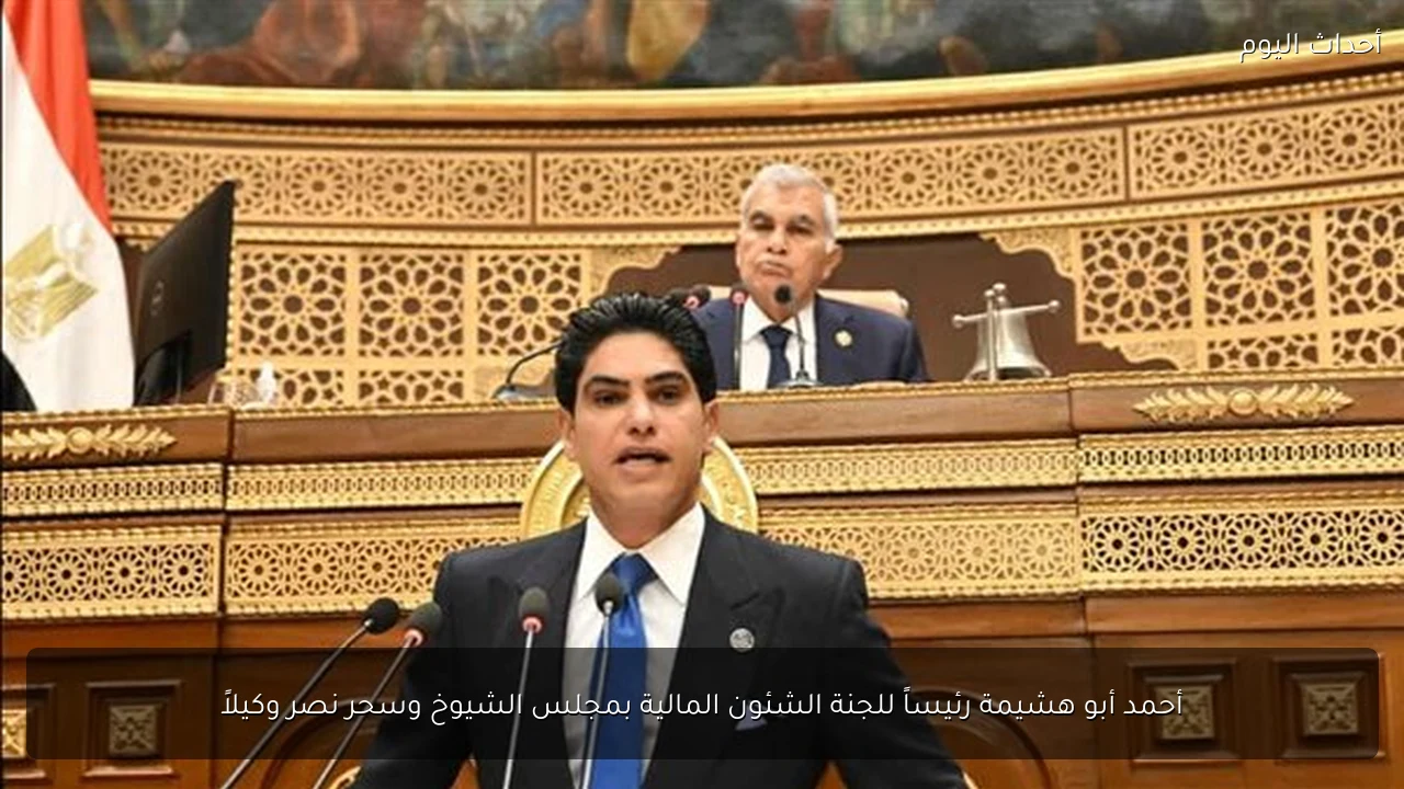 أحمد أبو هشيمة رئيساً للجنة الشئون المالية بمجلس الشيوخ وسحر نصر وكيلاً