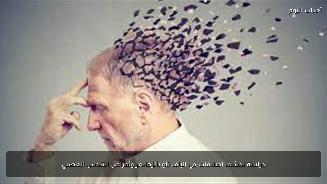 دراسة تكشف اختلافات في ألياف تاو بألزهايمر وأمراض التنكس العصبي