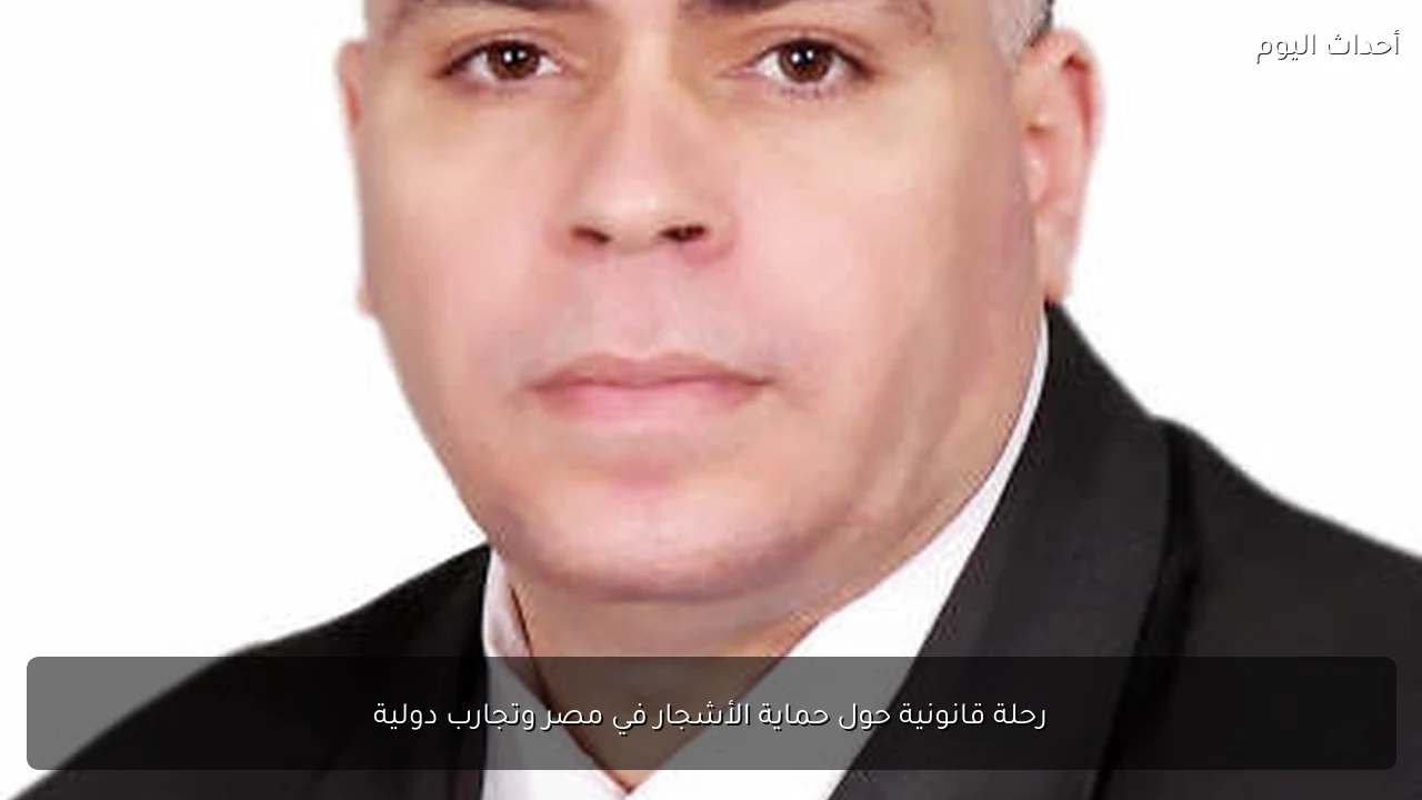 رحلة قانونية حول حماية الأشجار في مصر وتجارب دولية