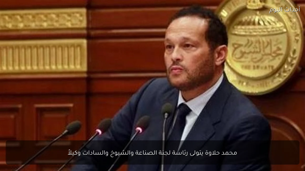 محمد حلاوة يتولى رئاسة لجنة الصناعة والشيوخ والسادات وكيلاً