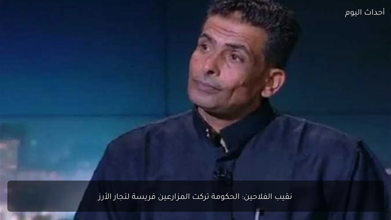 نقيب الفلاحين: الحكومة تركت المزارعين فريسة لتجار الأرز